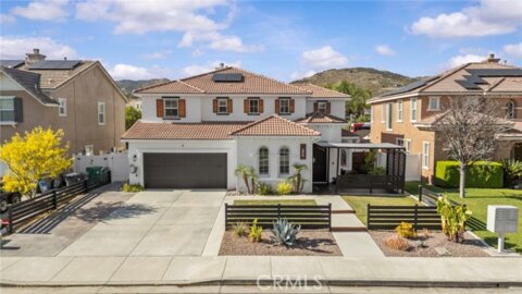 27497 Yellow Wood Photo